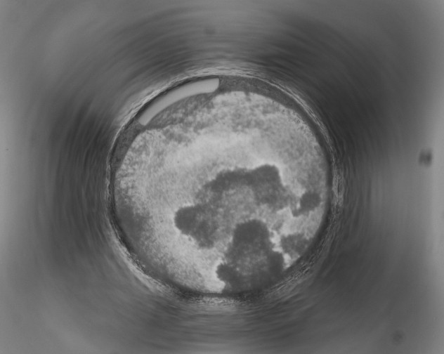 X0000114610437200912010941