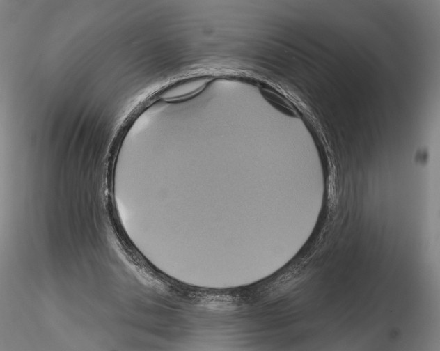 X0000114610438200912010941