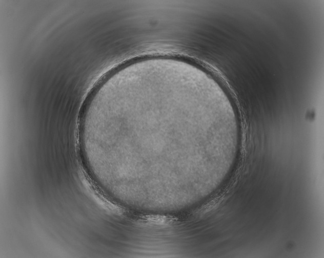 X0000114610439200912010941