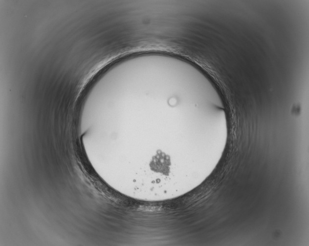 X0000114610440200912010941