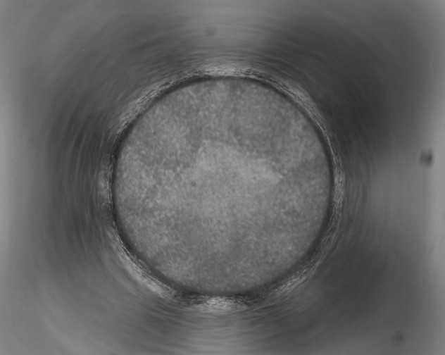 X0000114610441200912010941