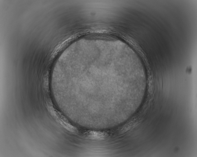 X0000114610442200912010941