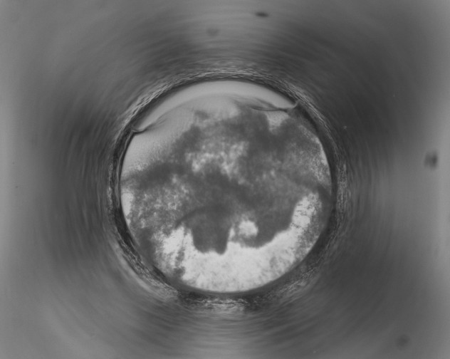 X0000114610443200912010941