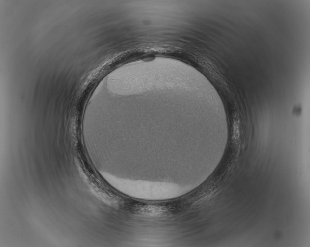 X0000114610444200912010941