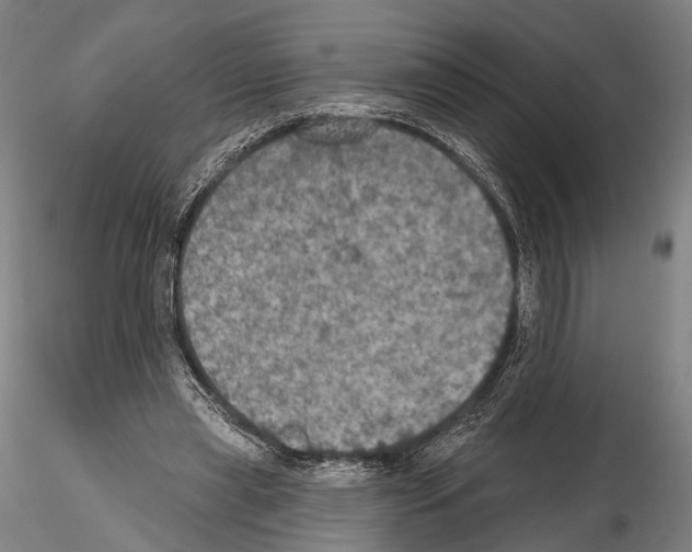 X0000114610445200912010941