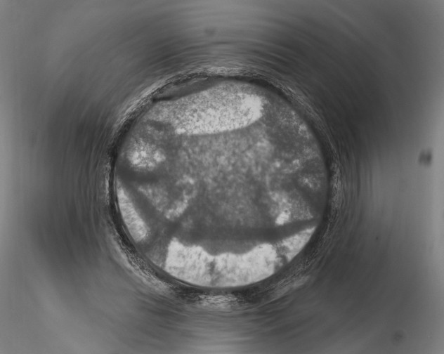 X0000114610446200912010941