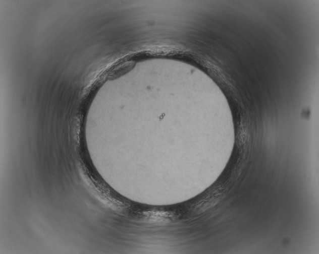 X0000114610448200912010941