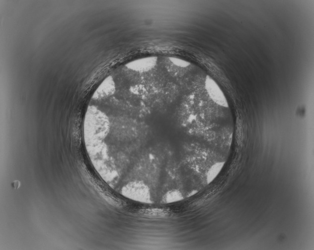 X0000114610449200912010941