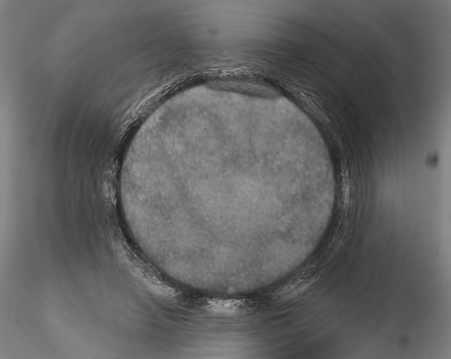 X0000114610450200912010941