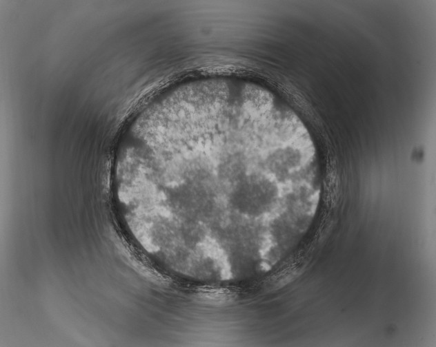 X0000114610454200912010941