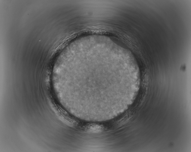 X0000114610456200912010941