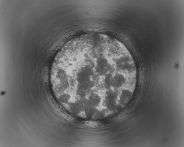 X0000114610457200912010941