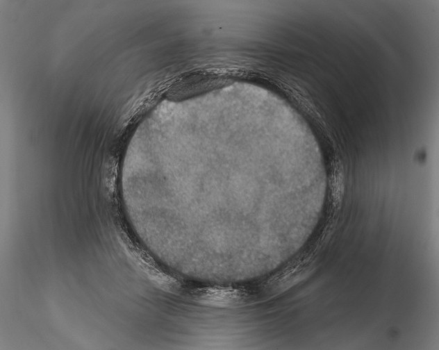 X0000114610458200912010941