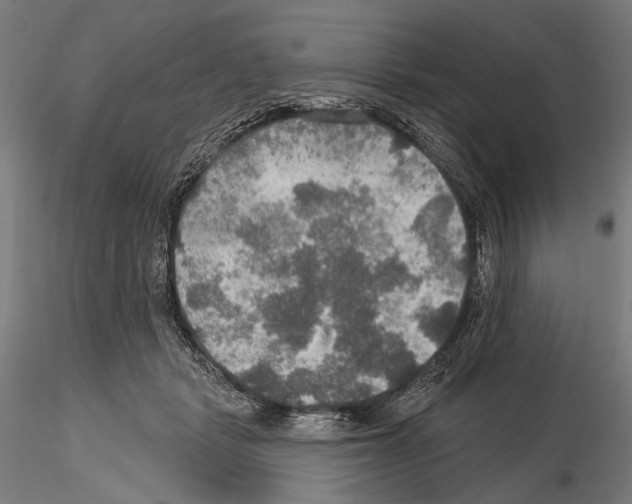 X0000114610461200912010941