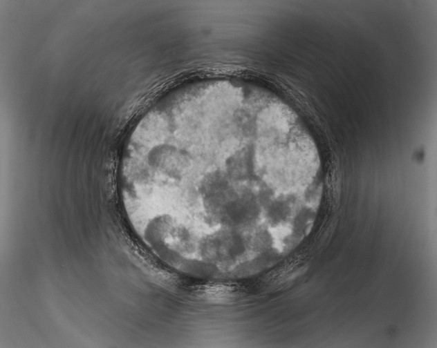 X0000114610462200912010941