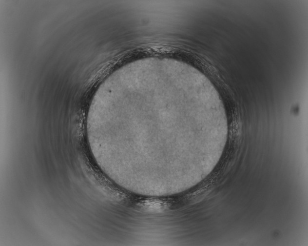 X0000114610464200912010941