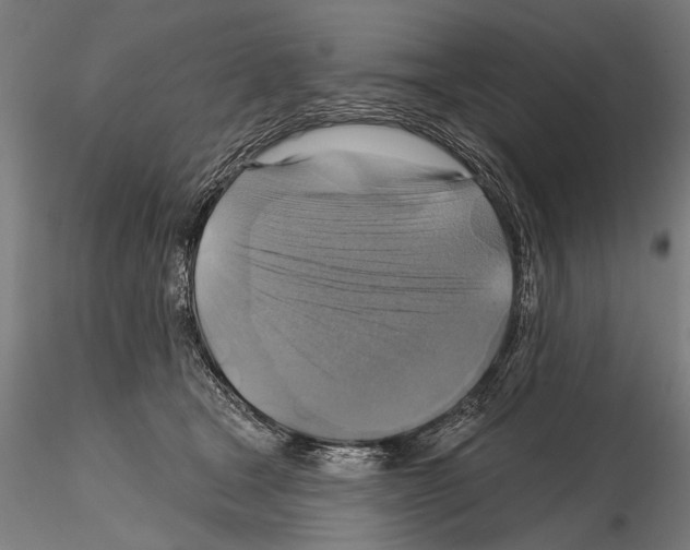 X0000114610465200912010941