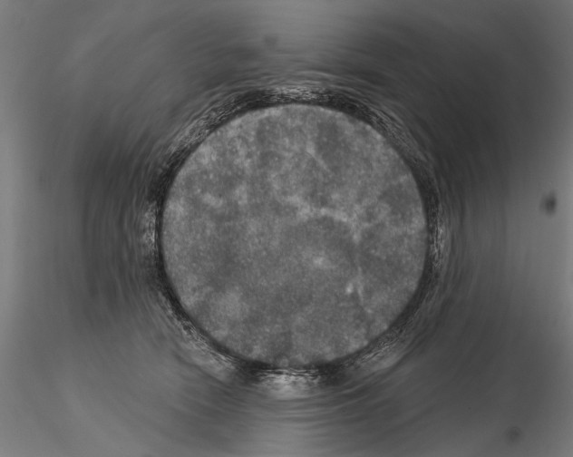 X0000114610466200912010941