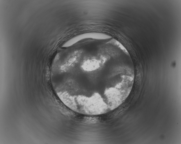 X0000114610469200912010941