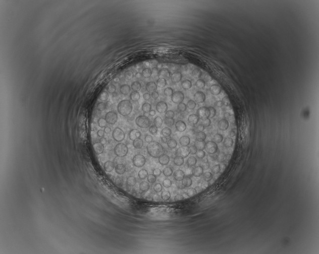 X0000114610470200912010941