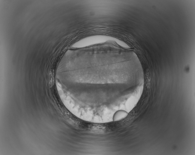 X0000114610471200912010941