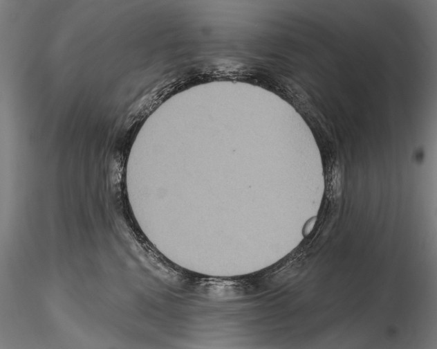 X0000114610472200912010941