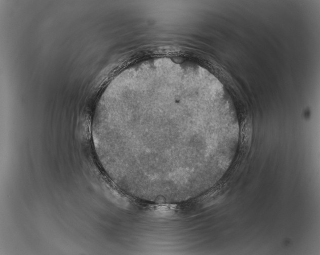 X0000114610474200912010941