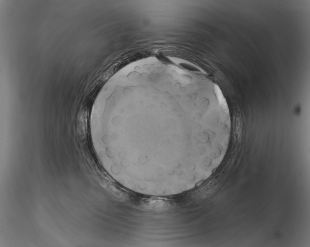 X0000114610475200912010941