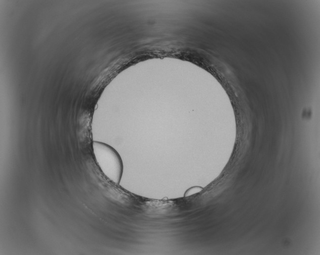 X0000114610480200912010942