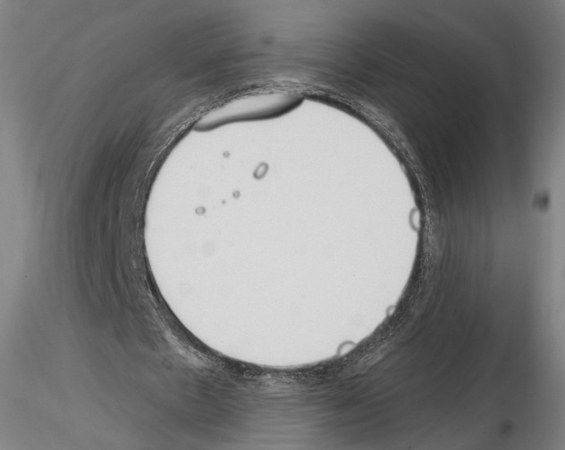 X0000114610481200912010941