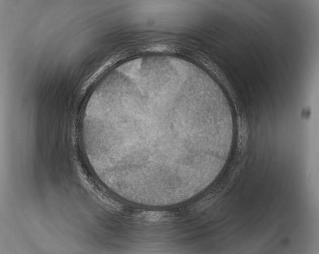 X0000114610482200912010941