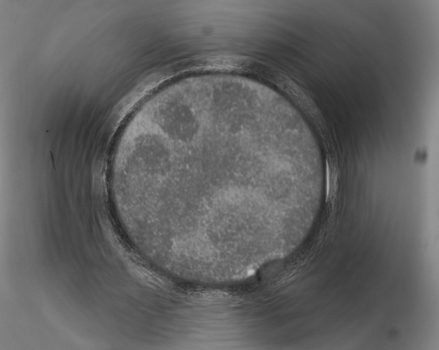 X0000114610483200912010941