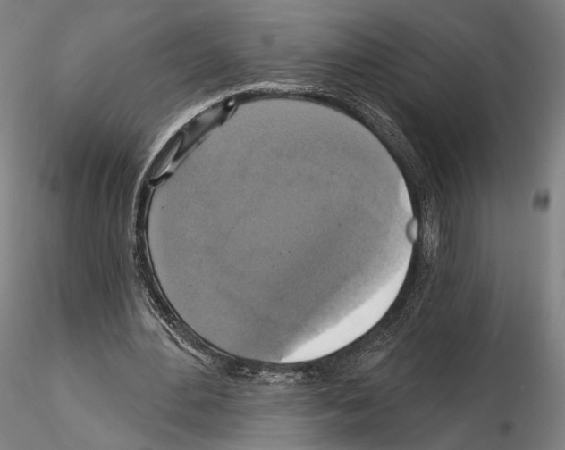 X0000114610484200912010941