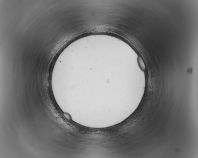 X0000114610485200912010941