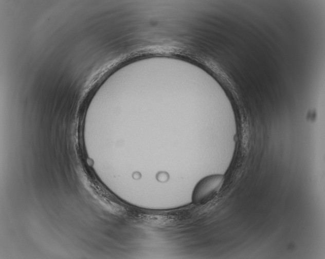 X0000114610486200912010941