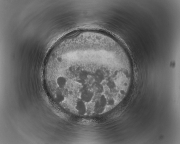 X0000114610487200912010941