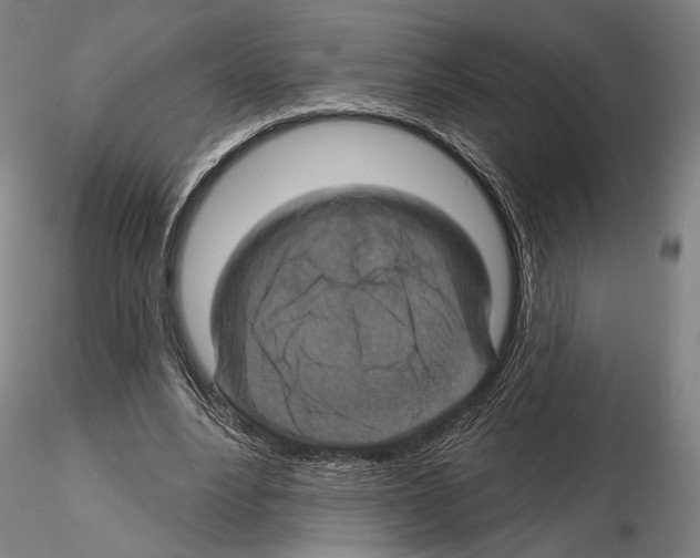 X0000114610488200912010941