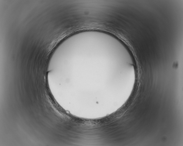 X0000114610489200912010941