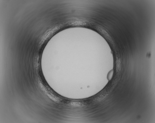 X0000114610490200912010941