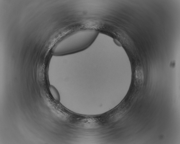 X0000114610492200912010941