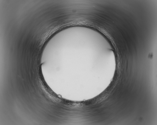 X0000114610493200912010941