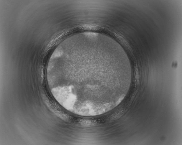 X0000114610494200912010941