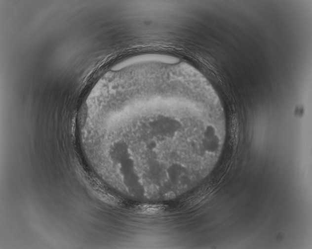 X0000114610495200912010941