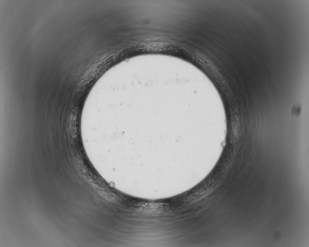 X0000114610497200912010941