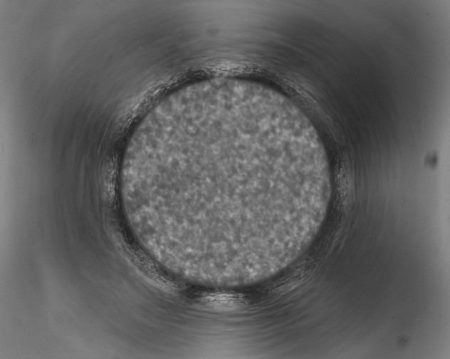 X0000114610499200912010941