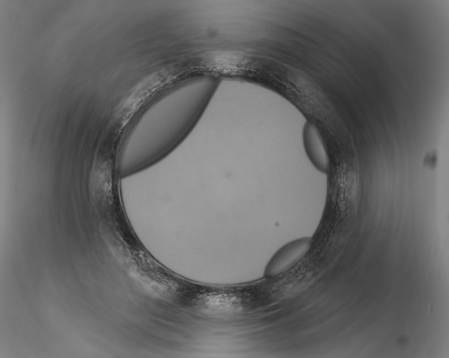 X0000114610500200912010941