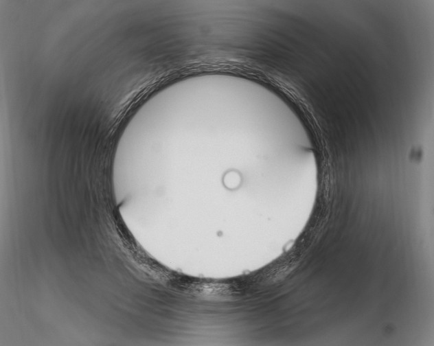 X0000114610501200912010941