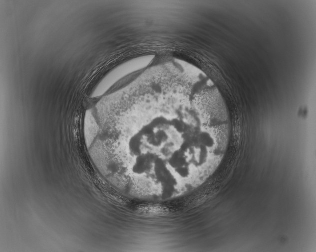 X0000114610503200912010941