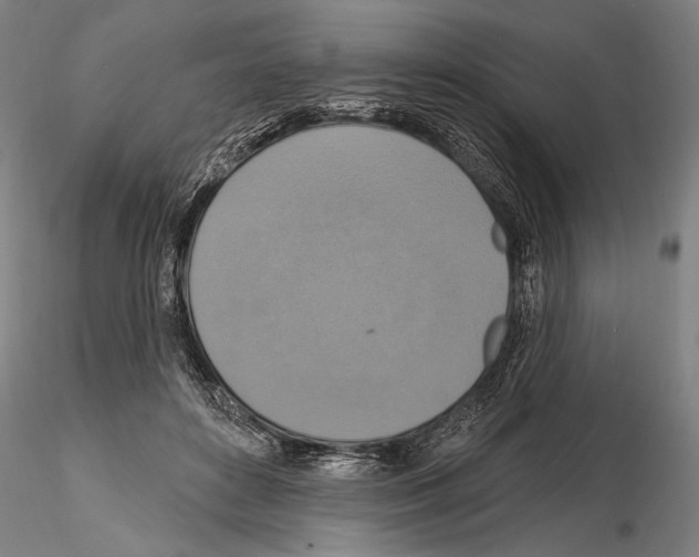 X0000114610504200912010941