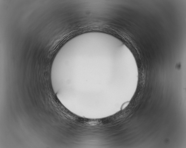 X0000114610505200912010941